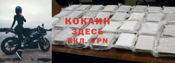 гашик Пестово