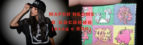 гашик Пестово
