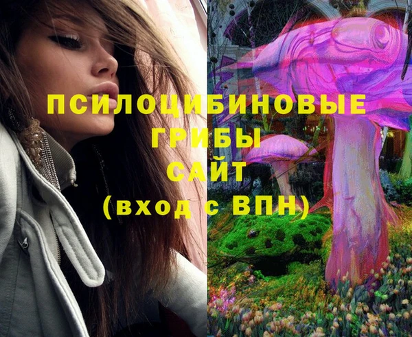 2c-b Осинники