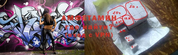 гашик Пестово