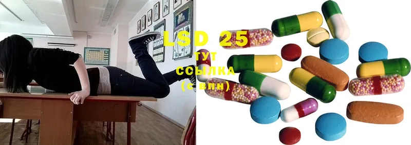 LSD-25 экстази ecstasy  где купить наркотик  Костомукша 