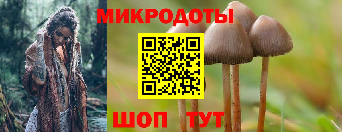 Псилоцибиновые грибы Psilocybe  сколько стоит  Костомукша  Вход с VPN  Псилоцибиновые грибы Psilocybe 