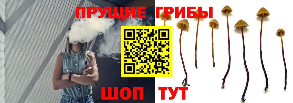 Псилоцибиновые грибы мицелий Костомукша
